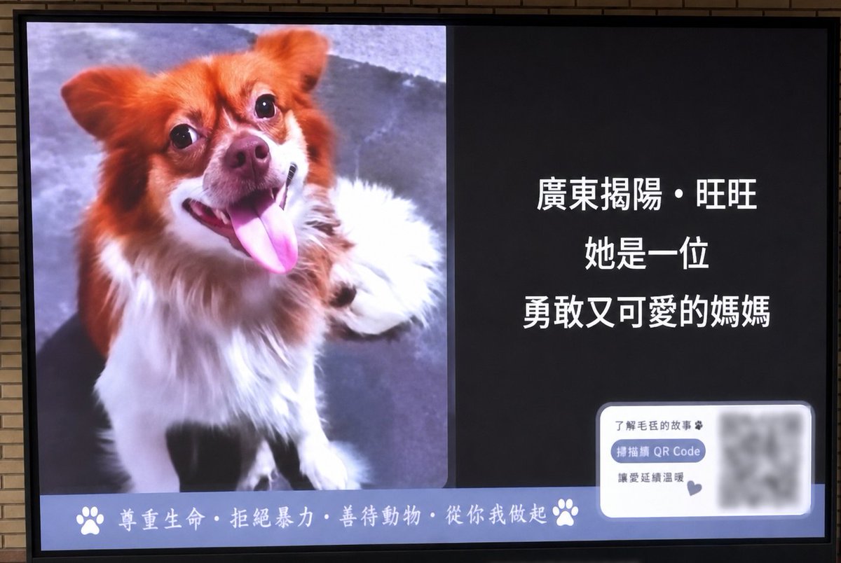 原文配图1